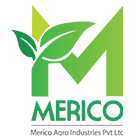 Laureate - Digital Marketing Agency in Kolkata